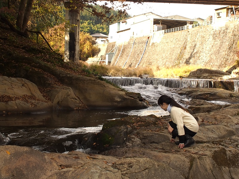 f:id:inakakaoru:20191123164705p:plain
