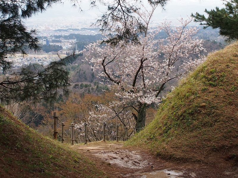 f:id:inakakaoru:20200409222046p:plain