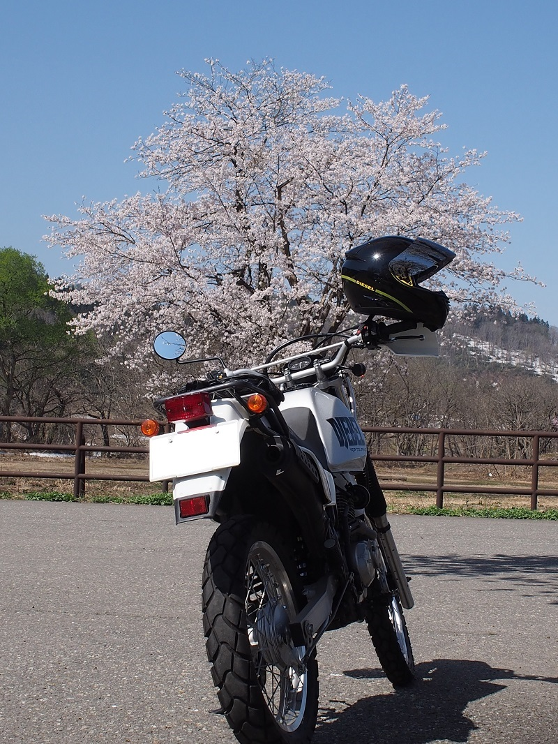 f:id:inakakaoru:20210414224012p:plain