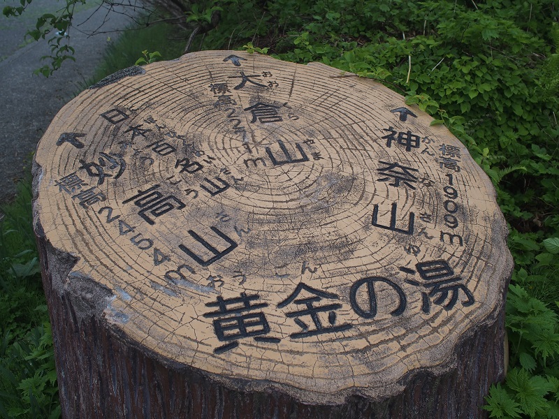 f:id:inakakaoru:20210624223626j:plain
