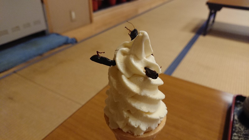 f:id:inakakaoru:20210918082651j:plain