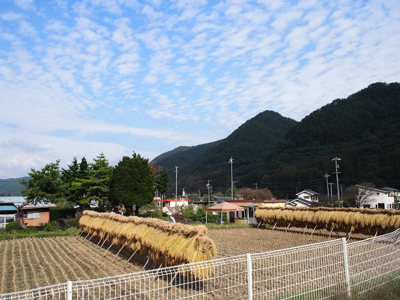 f:id:inakakaoru:20211009221738j:plain