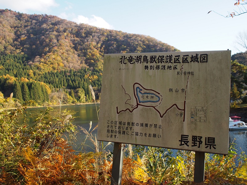 f:id:inakakaoru:20211113133507j:plain