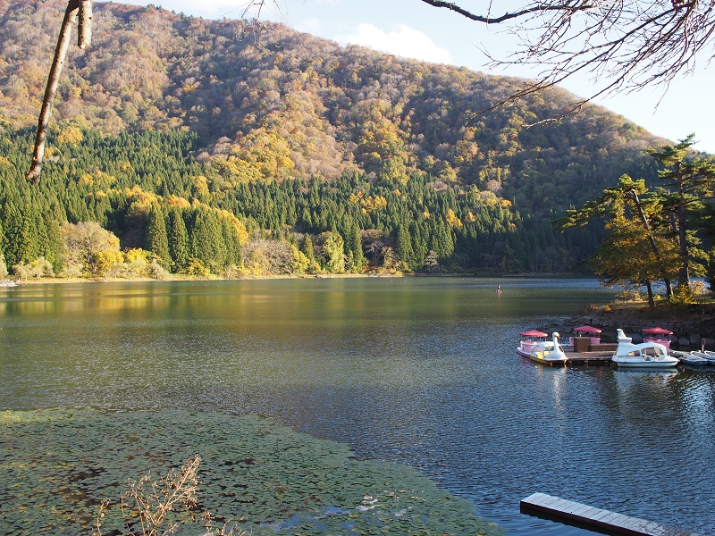 f:id:inakakaoru:20211113133635j:plain
