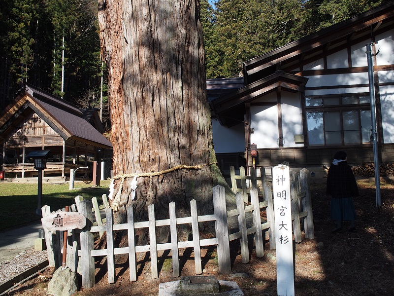 f:id:inakakaoru:20211123133612j:plain