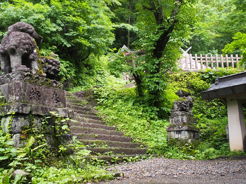 f:id:inakakaoru:20220129120657j:plain