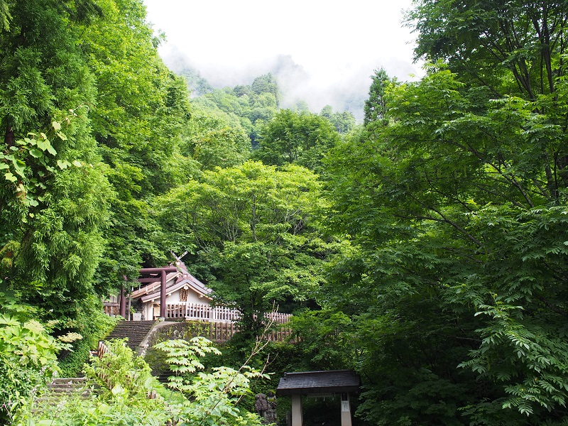 f:id:inakakaoru:20220129120935j:plain