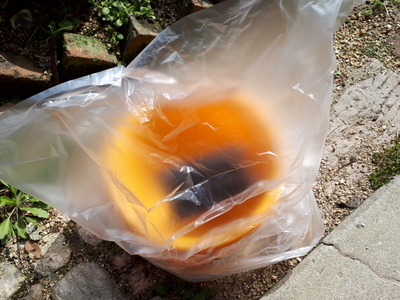 f:id:inakamono88:20210223202445j:plain