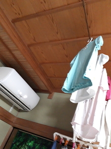 日々のこと 全然主婦目線じゃない おもろい間取り 家にこだわると 家具まで揃えたくなるのってなんでかなあ ほしいもんが いっぱい