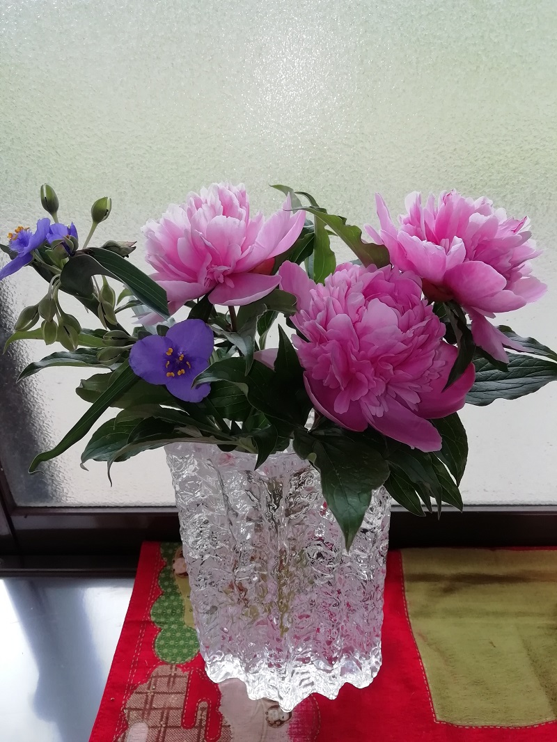 f:id:inakanite:20210603145548j:plain