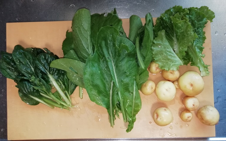 f:id:inakanite:20210610204959j:plain