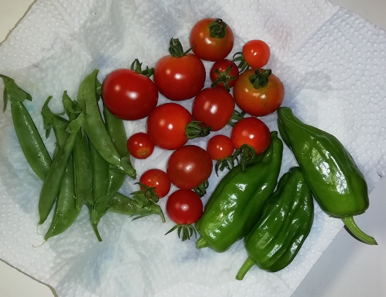 f:id:inakanite:20210710140411j:plain