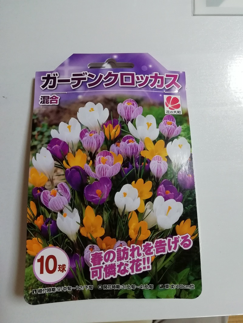 f:id:inakanite:20210929121920j:plain