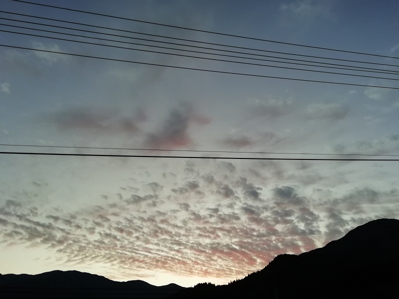 f:id:inakanite:20211213132933j:plain