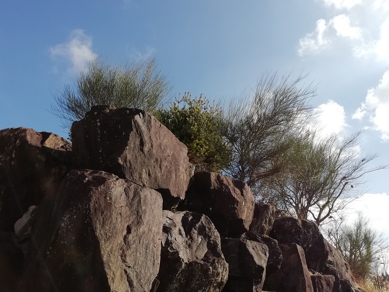 f:id:inakanite:20220103131340j:plain