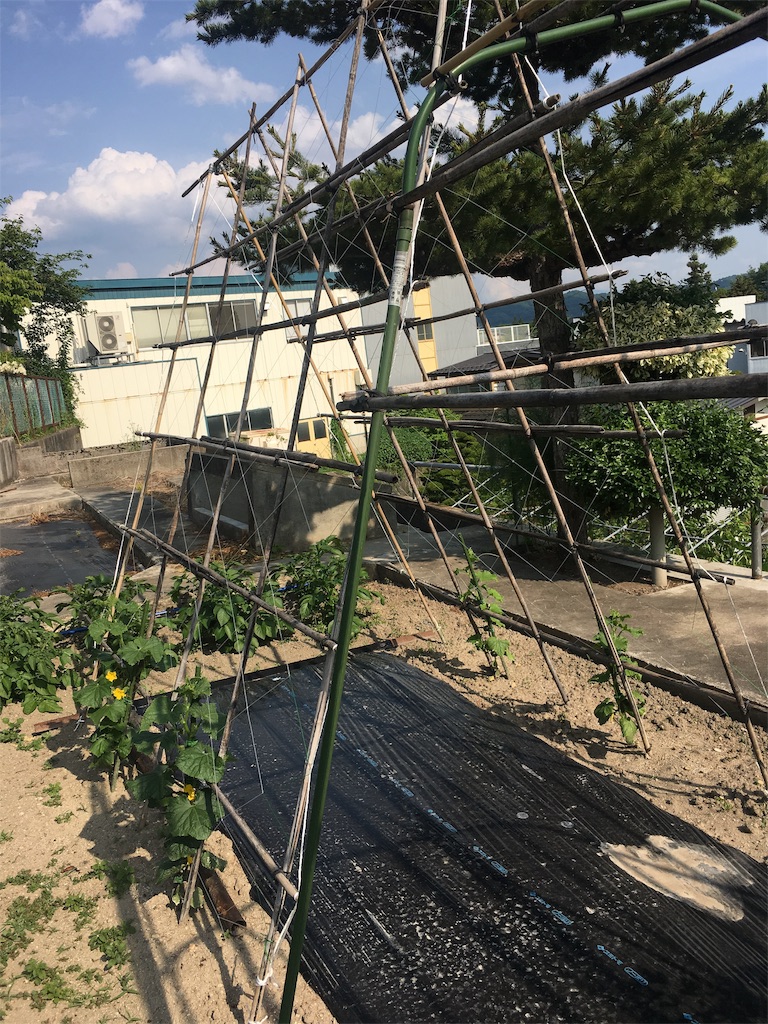 f:id:inakashuf:20190604152447j:image f:id:inakashuf:20190604152447j:image
