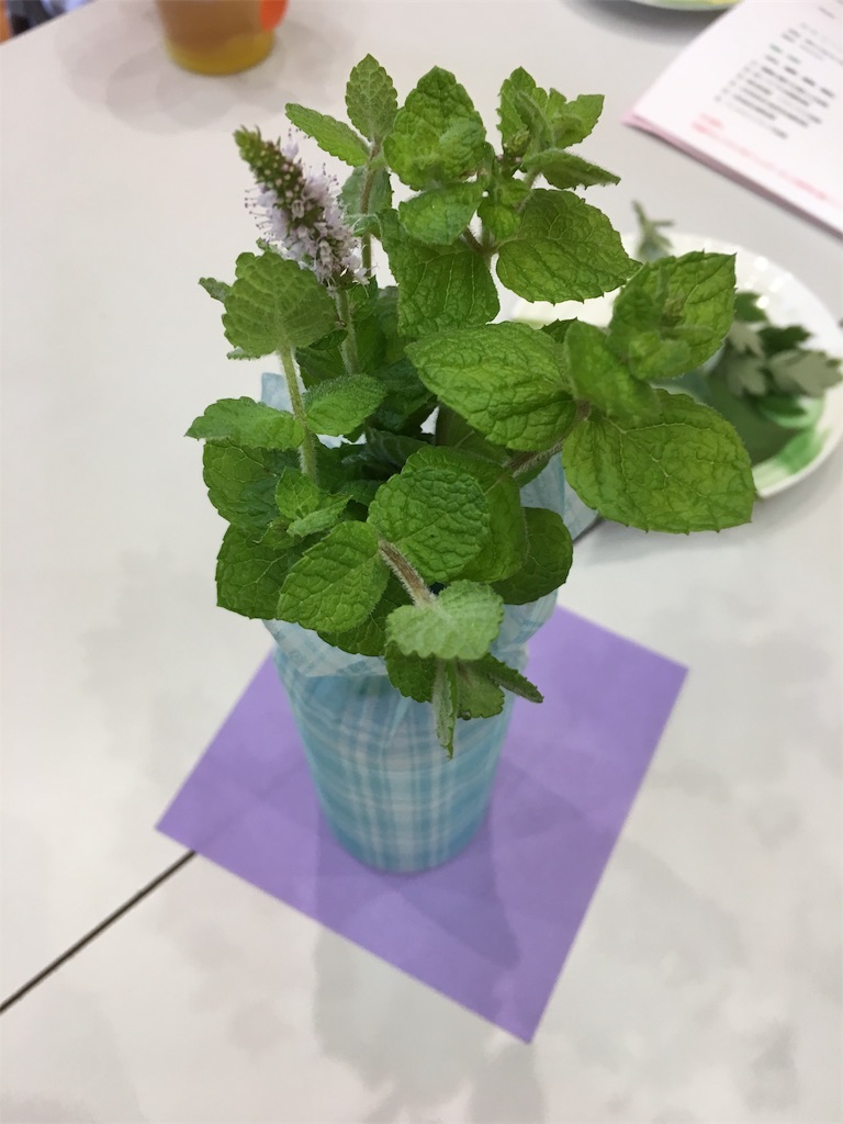 f:id:inakashuf:20190928144953j:image f:id:inakashuf:20190928144953j:image