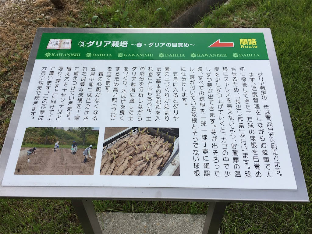 f:id:inakashuf:20190928164129j:image f:id:inakashuf:20190928164129j:image
