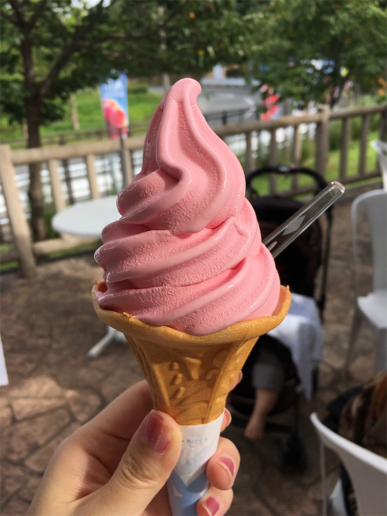 f:id:inakashuf:20190928164206j:image f:id:inakashuf:20190928164206j:image