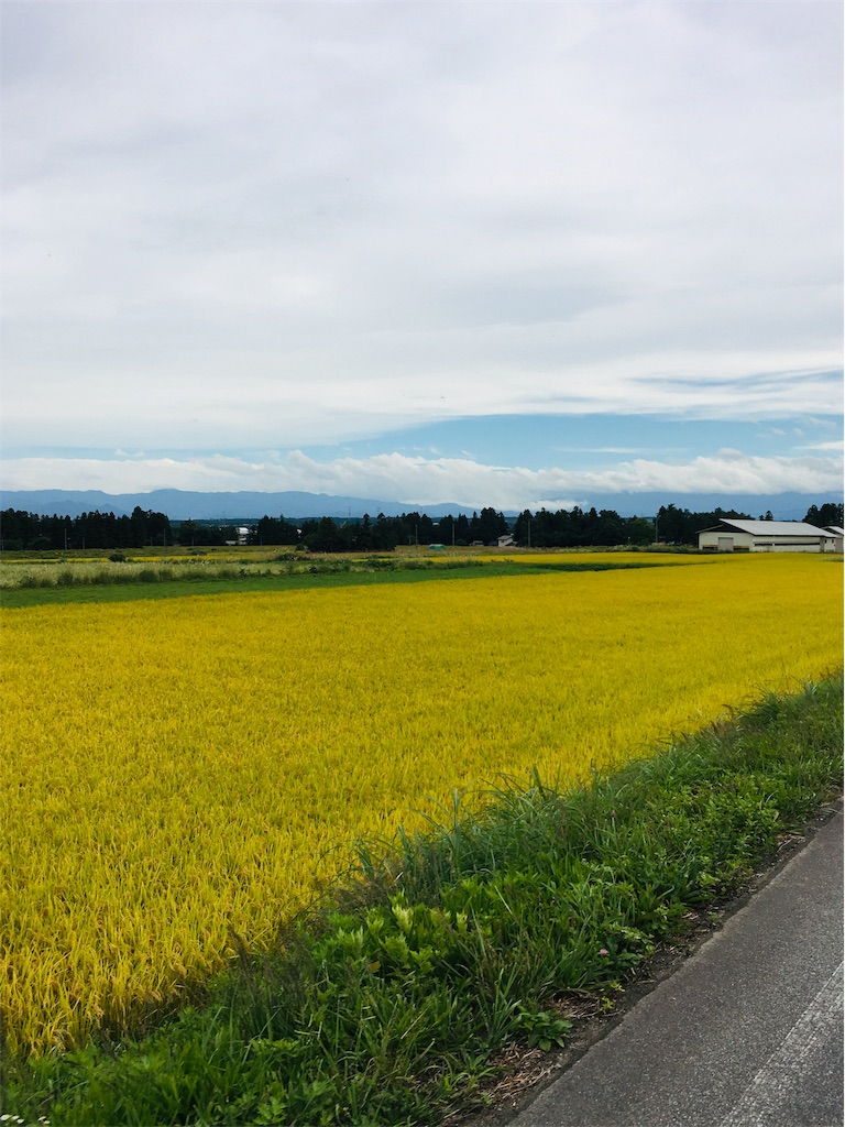 f:id:inakashuf:20190930011245j:image f:id:inakashuf:20190930011245j:image