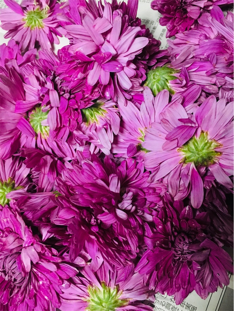 f:id:inakashuf:20191029062451j:image f:id:inakashuf:20191029062451j:image