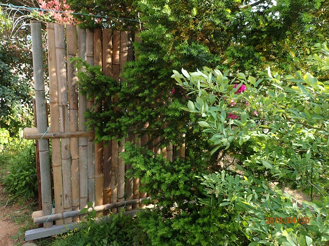 f:id:inakatano2:20180509230511j:plain