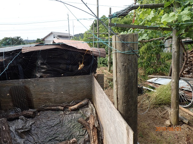 f:id:inakatano2:20190610230856j:plain