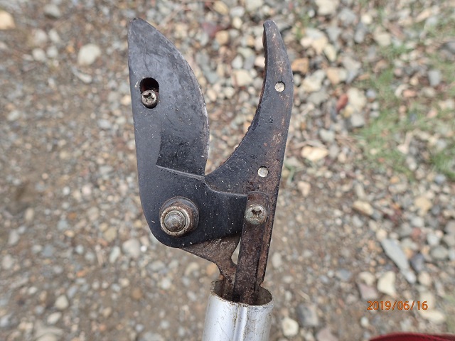 高枝切りハサミ 5 56を塗布して High Branch Pruning Scissors いなかを楽しむ生活２ Life Enjoying Country
