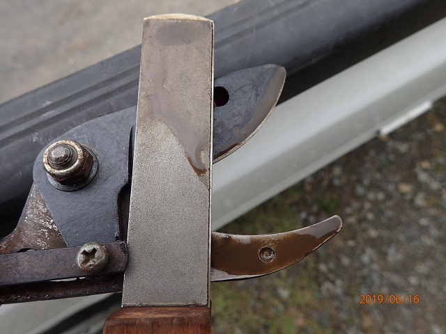 高枝切りハサミ 5 56を塗布して High Branch Pruning Scissors いなかを楽しむ生活２ Life Enjoying Country