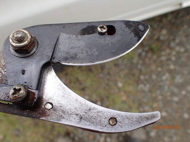 高枝切りハサミ 5 56を塗布して High Branch Pruning Scissors いなかを楽しむ生活２ Life Enjoying Country