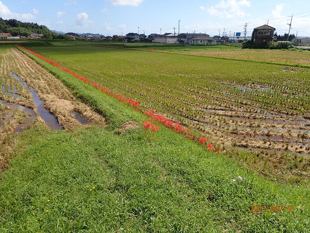 f:id:inakatano2:20210930213629j:plain