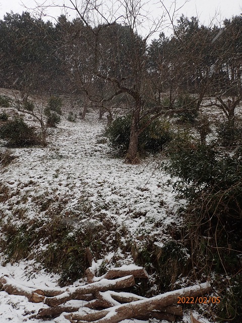 f:id:inakatano2:20220209210939j:plain