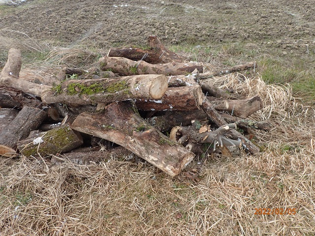 f:id:inakatano2:20220209211105j:plain