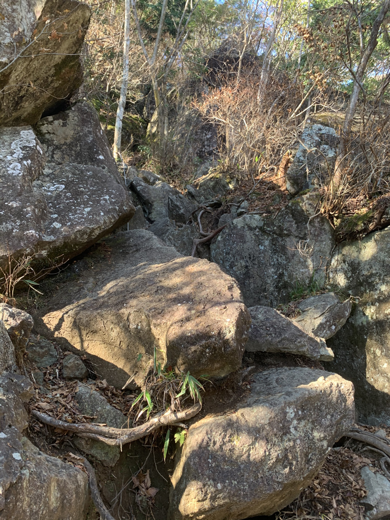 毛無山　登山
