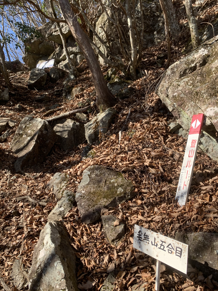 毛無山　登山