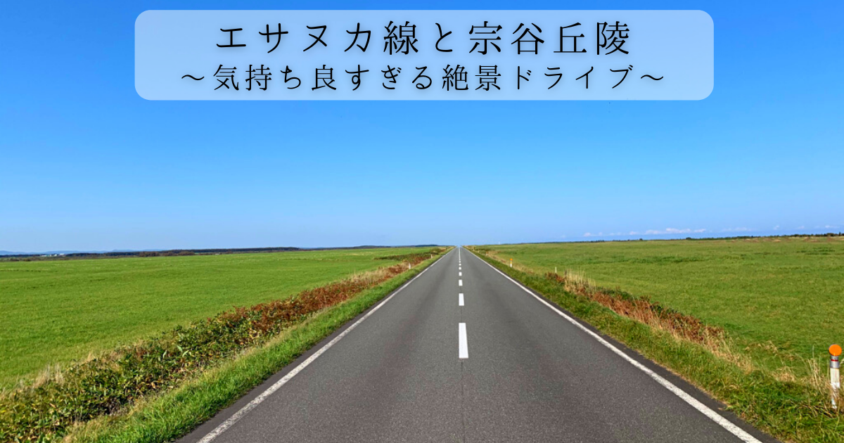 f:id:inamasa22:20210321114200p:plain