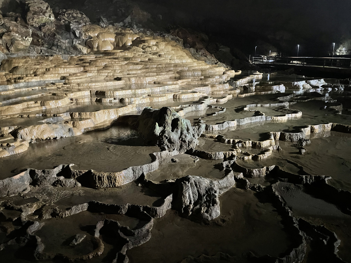 山口県 秋吉台 天然地下神殿 秋吉洞 と広大な草原 秋吉台 に大興奮 絶景日記 旅のタネ
