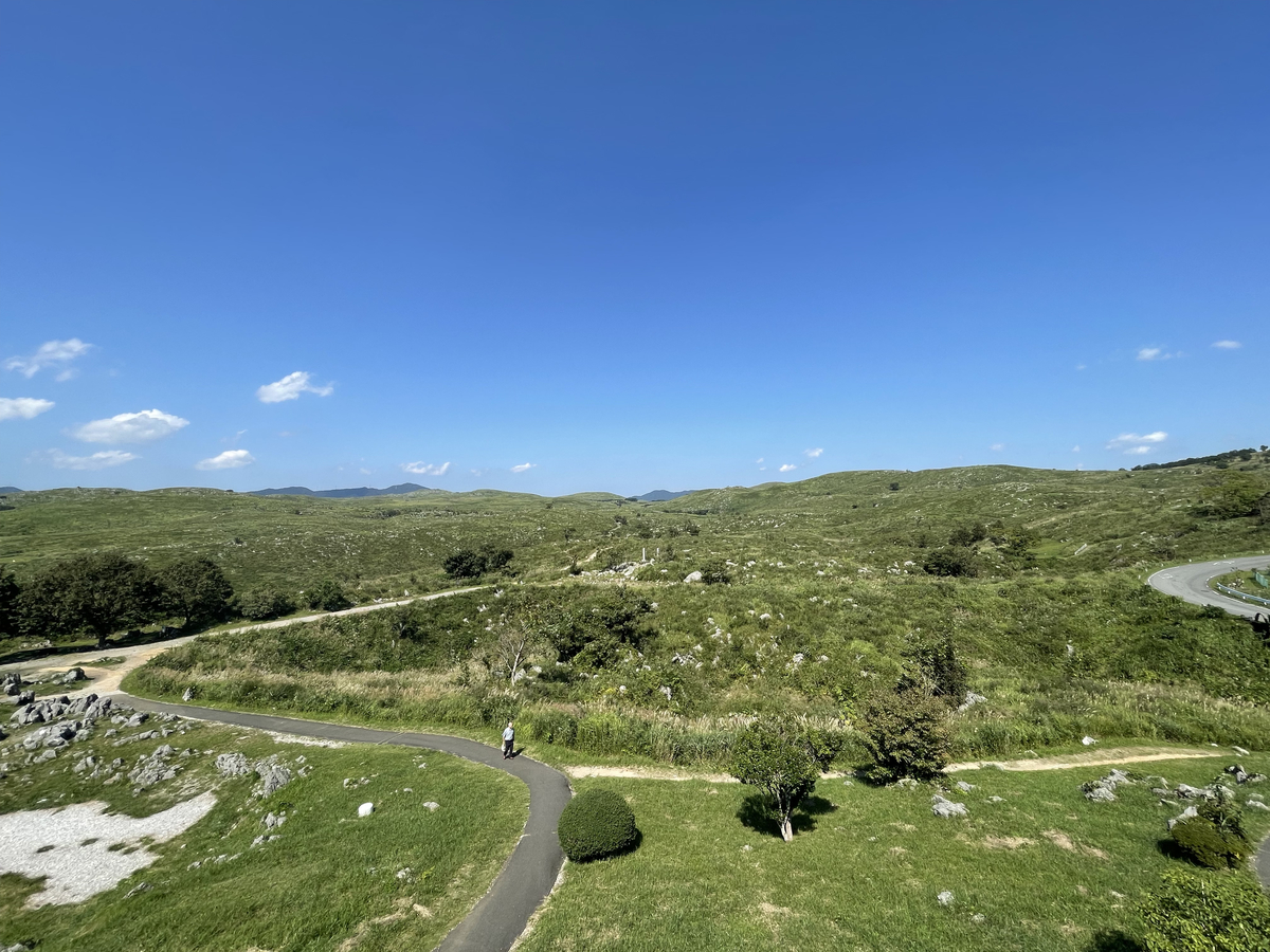 山口県 秋吉台 天然地下神殿 秋吉洞 と広大な草原 秋吉台 に大興奮 絶景日記 旅のタネ