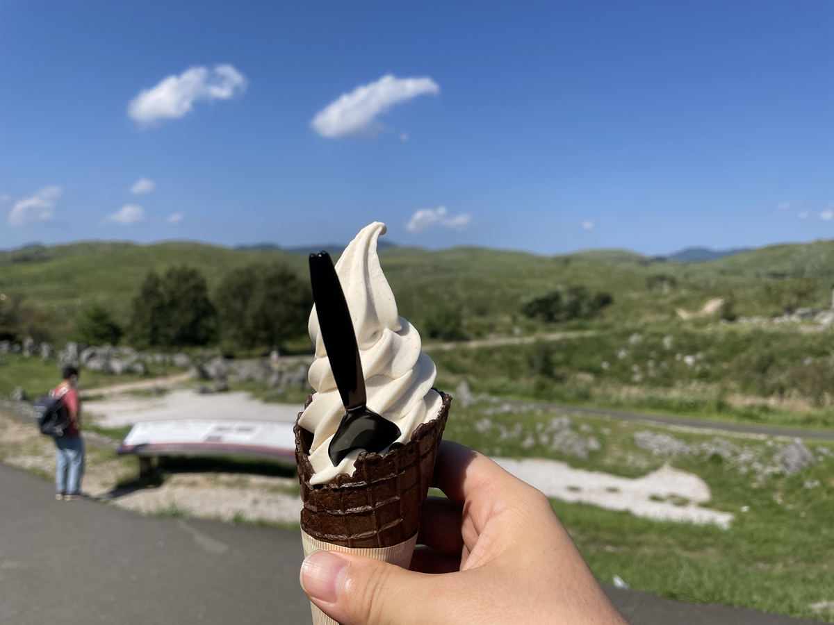 山口県 秋吉台 天然地下神殿 秋吉洞 と広大な草原 秋吉台 に大興奮 絶景日記 旅のタネ