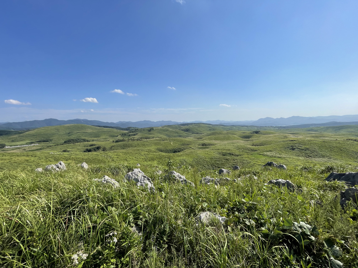 山口県 秋吉台 天然地下神殿 秋吉洞 と広大な草原 秋吉台 に大興奮 絶景日記 旅のタネ