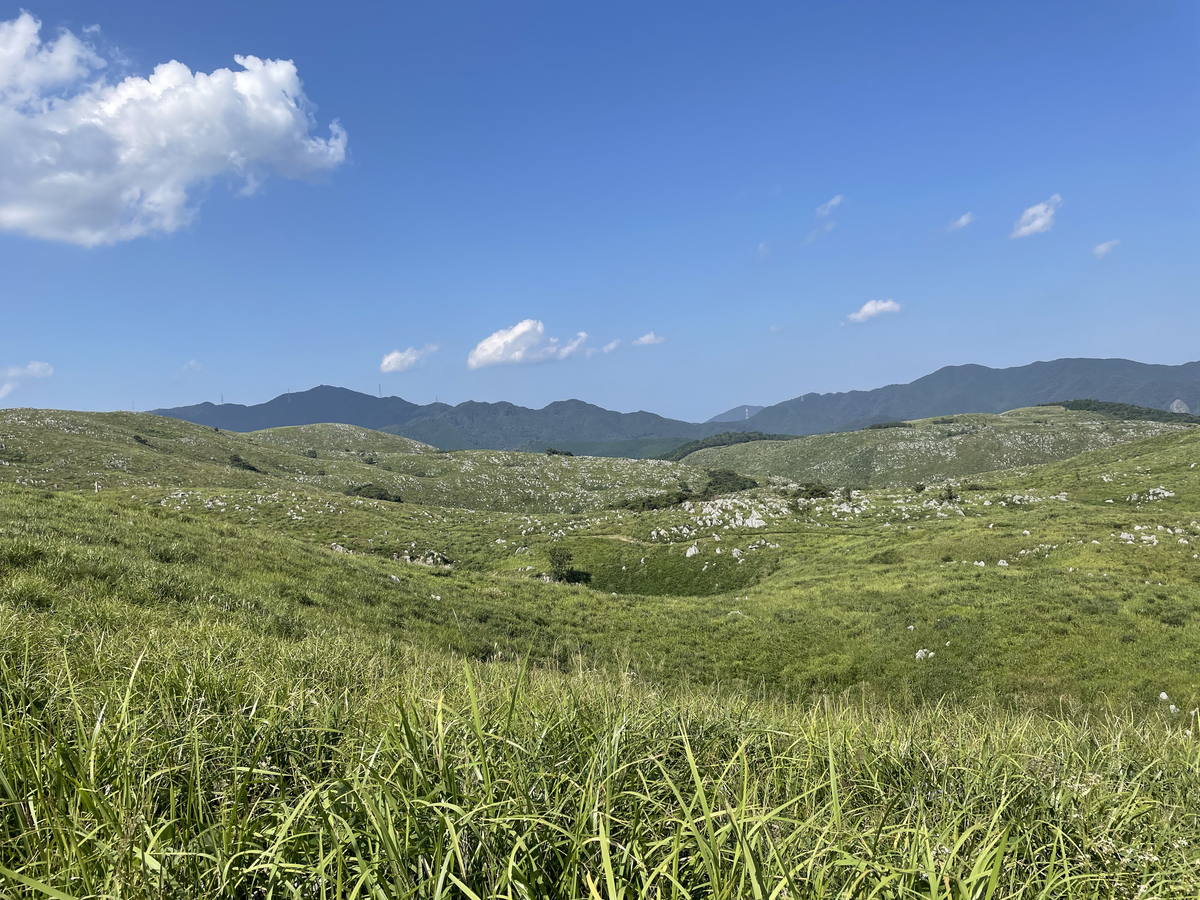 山口県 秋吉台 天然地下神殿 秋吉洞 と広大な草原 秋吉台 に大興奮 絶景日記 旅のタネ
