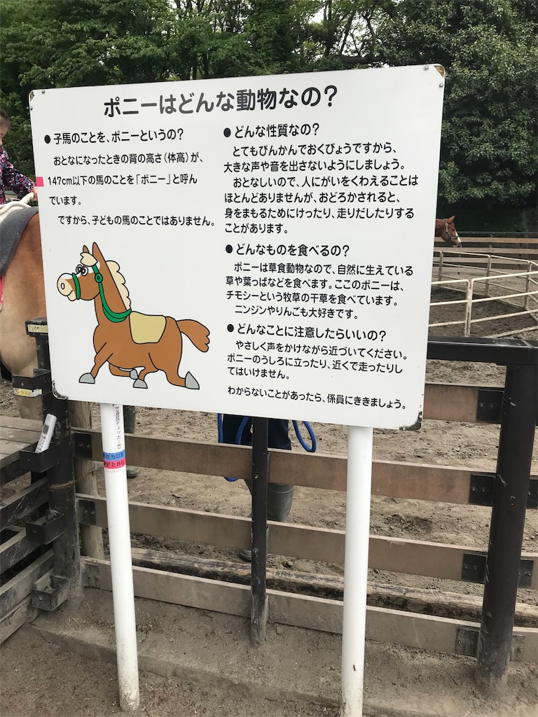 代々木ポニー公園で乗馬してきました 教育ワーママの燃え尽きブログ