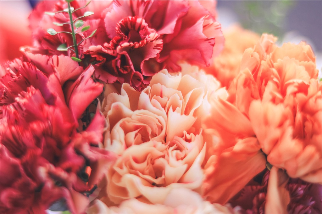 f:id:inamililyflower:20210322165441j:image