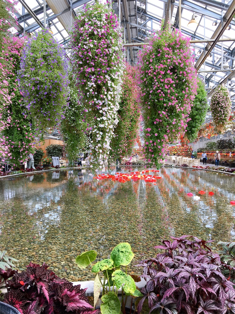 f:id:inamililyflower:20220602211547j:image f:id:inamililyflower:20220602211547j:image