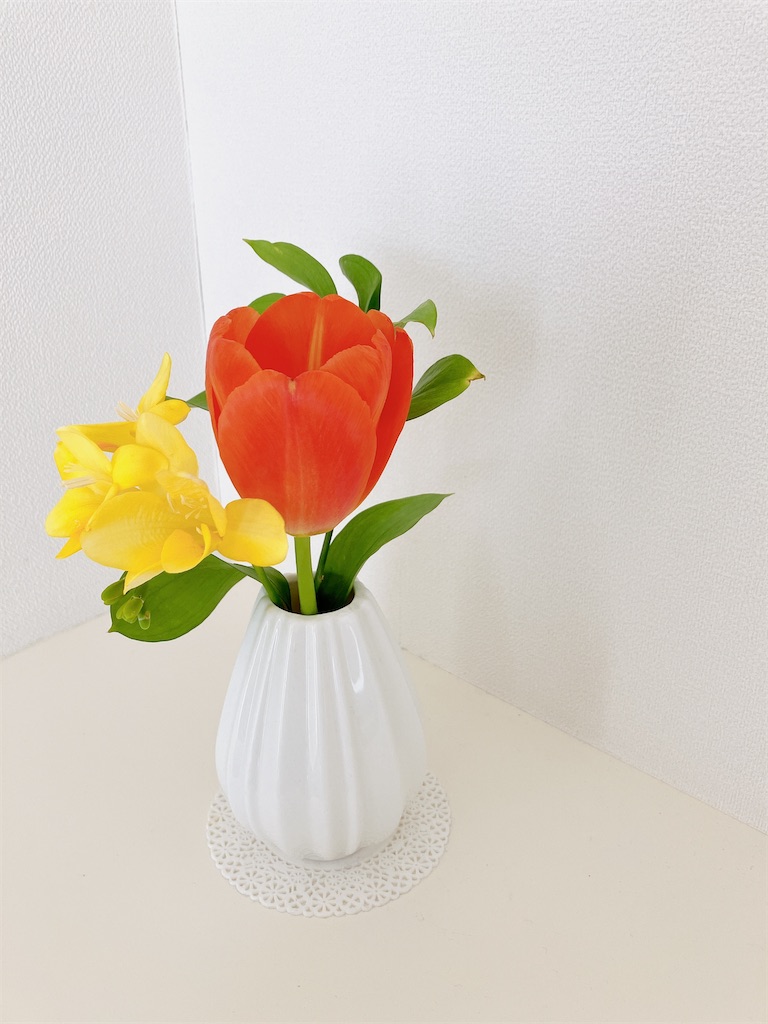 f:id:inamililyflower:20230430222656j:image