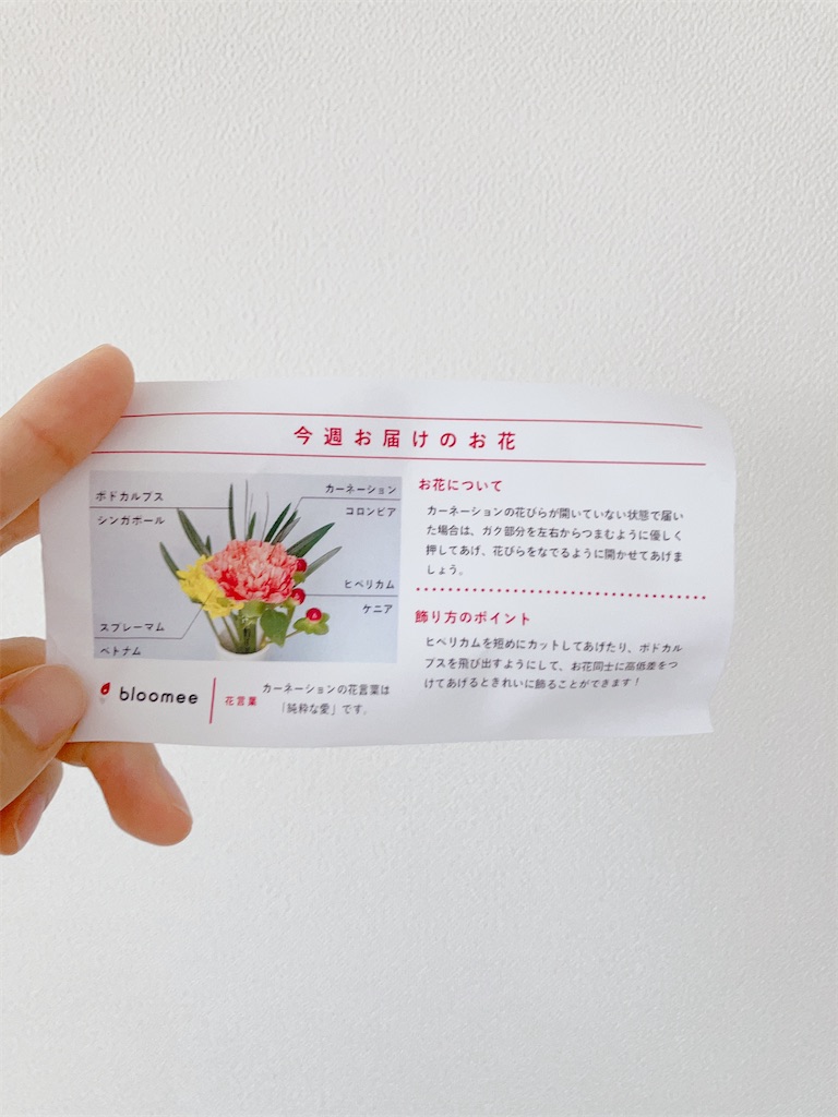 f:id:inamililyflower:20230830120228j:image
