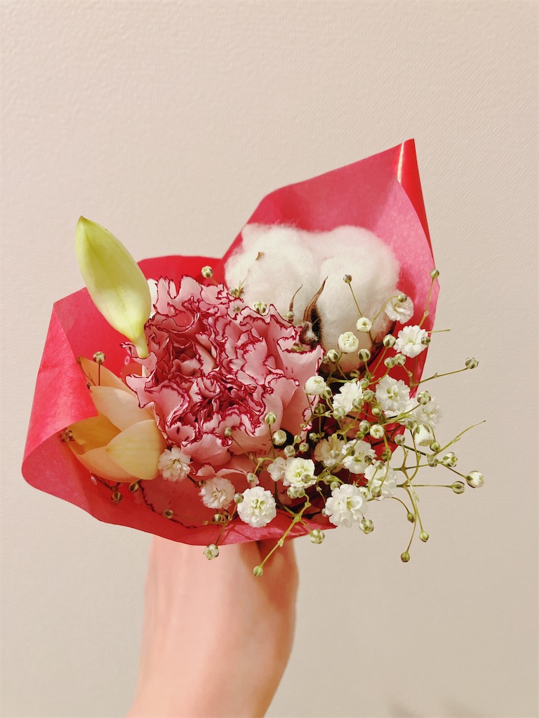 f:id:inamililyflower:20231224112110j:image