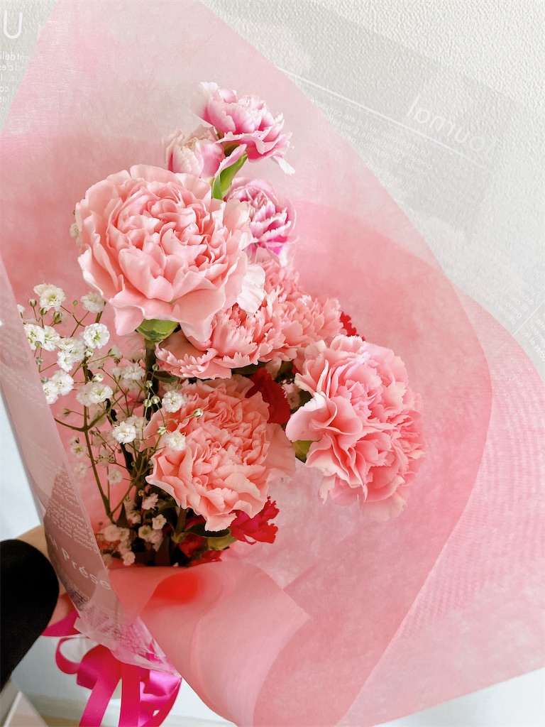 f:id:inamililyflower:20240512221004j:image