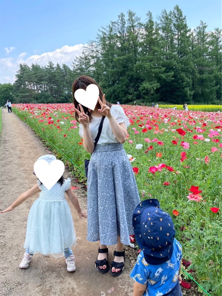 f:id:inamililyflower:20241002221923j:image