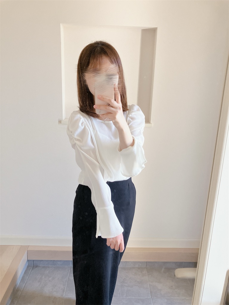 f:id:inamililyflower:20241129140459j:image